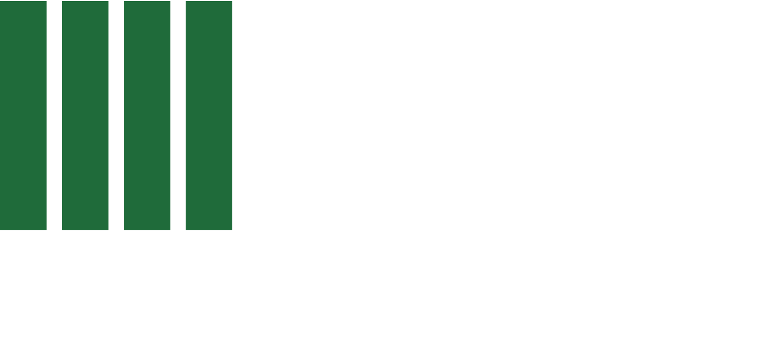 MD Governança & Estratégia